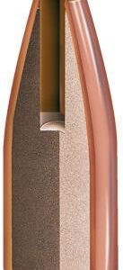 Hornady NTX Bullets .22 cal .224" 35 gr NTX 100/ct