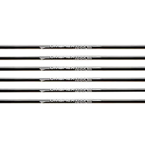 RWS/Umarex 2252661 Air Saber  Black Carbon Fiber/ 6 Pack