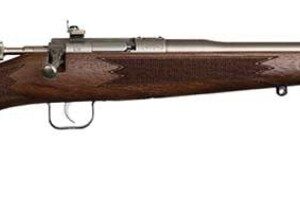 Chipmunk Dlx Youth 22 LR 16.1"  Walnut/SS 1rd
