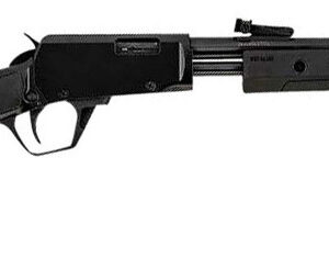 ROSSI GALLERY 22MAG 20 BLUED BLK SYNTHETIC 12RD