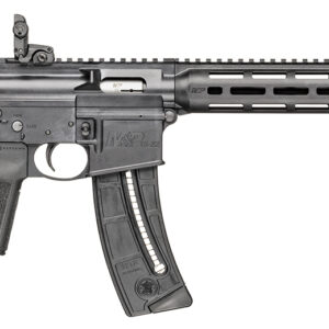 Smith & Wesson 14180 M&P15-22 Sport 22 LR 25+1 16.50" Black Steel Threaded Barrel, Picatinny Rail Polymer Receiver, M-LOK Polymer Handguards, Black Polymer B5 Bravo Stock, Black B5 Type 23 Grips