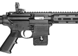 MP15-22 Sport 22lr 16" Black NJ Comp10rd