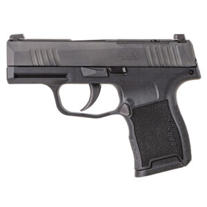 SIG P365 380ACP 3.1 (2) 10RD BLK