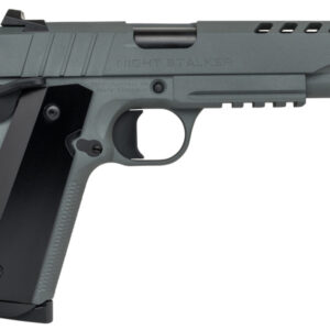 TISAS 1911 NIGHT STALKER 10MM 5 GRY