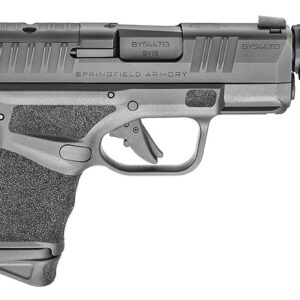 Hellcat RDP WO/Optic 9MM 3.8" 10RD