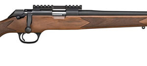 SPR MODEL 2020 RIMFIRE 22LR AA WALNUT 20 10RD