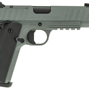 TISAS 1911 NIGHTSTALKER SF-C 10MM 4.25 COMP GRY