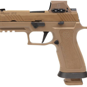 SIG M18 9MM XFRAME 3.9 COY ROMEOM17  3-21RD