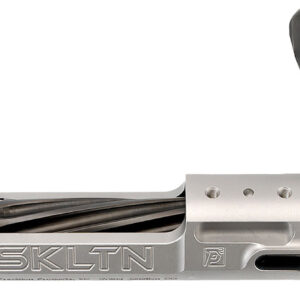 P2 IN-00287 SKLTN SKLTN SA RH STANDARD TI