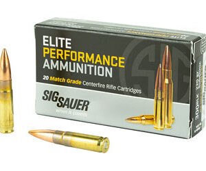 SIG Sauer Elite Subsonic Performance Match Rifle Ammunition .300 AAC Blackout 220 gr OTM 1000 fps 20/ct E300A2-20