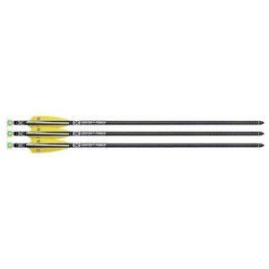 TenPoint EVO-X CenterPunch Lighted Alpha-Blaze Carbon Arrows 20" 3 Pack