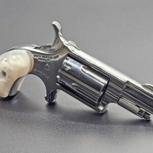 NAA THE GOOD HIGH POLISHED 22LR 5 SHOT  1 1/8 IN BARREL