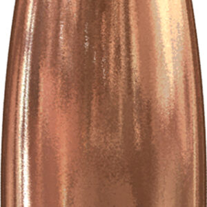 Speer 4711 Varmint  22 Caliber .224 55 GR Soft Point Value Pack 1000 Box
