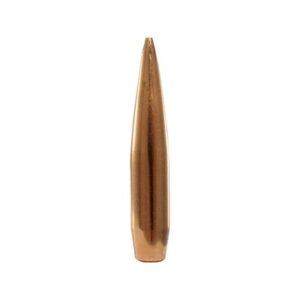 30 CALIBER (0.308'') 200GR HOLLOW POINT BT 100BOX
