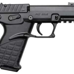 Kel-Tec P17 22LR 3.8" Threaded 16RD Black P17BLK