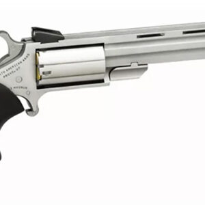 North American Arms Mini-Master Combo 22LR/22 Mag 4" 5-Shot Stainless NAA-MMC