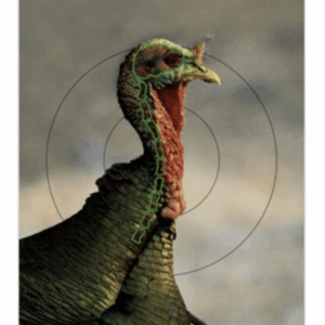 Birchwood Casey Pregame 12" x 18" Turkey Target 8 Pack