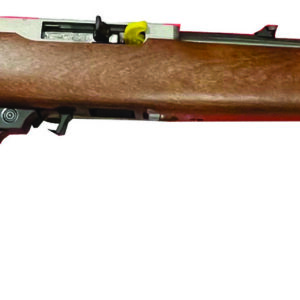 10/22 22LR  18.5" SS/Stained Beech 10rd