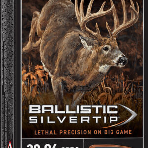 Winchester Ammo SBST3006B Ballistic Silvertip  30-06Springfield 180gr Rapid Controlled Expansion Polymer Tip 20 Per Box/10 Case