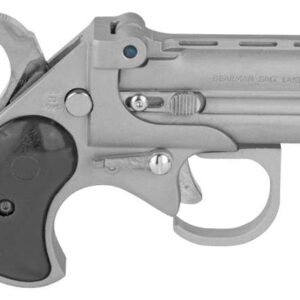 COBRA BIG BORE DERRINGER HGD .22 MAG 2.75" BBL. W/GUARDIAN PKG.SATIN W/BLACK GRIPS