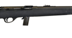 Rock Island M20P 22LR SA 21"