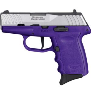 SCCY DVG-1 HGA 9MM 3.1IN BBL STRIKER FIRED NO SAFETY PURPLE/SS 2-10RD