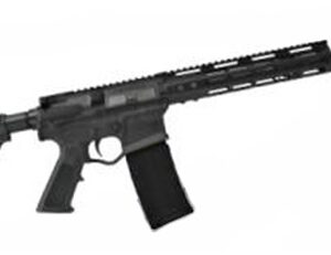 ATI OMNI MAXX P3P 300BLK BLK30