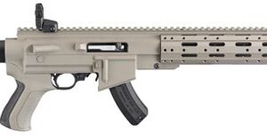 RUG 10/22 FDE AR-22 TALO