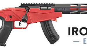 Precision 17HMR 16" Red IVS Excl 15rd