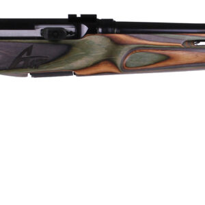 SAVAGE ARMS A17 TARGET 17HMR BL/GRN THBHL#