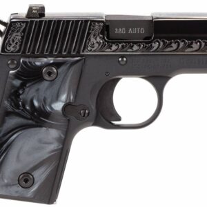 Sig Sauer 238380ESB P238 Micro-Compact Black Pearl 
380 ACP 2.70" 6+1 Black Hardcoat Anodized Black Nitron Stainless Steel Black Pearlite Grip