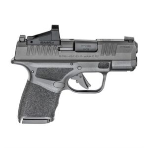 HELLCAT MICRO COMPACT 9MM LUGER 3â BBL (2)10RD W/SHIELD SMSC