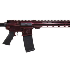 SHARK COAST TACTICAL BLAZE GUN CANDY RIA 5.56 NATO 16IN BBL OR A2 FH MOE SL STK CUST CERAKOTE 30RD