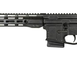 WARRIOR SYSTEMS WSM15 300BLK 16" BLK 10+1 MA