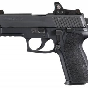 Sig Sauer E29R9BSSRX P229 RX 9mm Luger 3.90" 15+1 Black 1-Piece Ergo Grip Black Nitron Stainless Steel