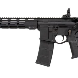 RAPTOR DEFENSE RD15 300BLK 16" BK FEATURELESS