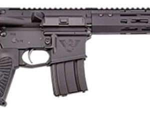 Protector Pistol 300Blk 11.3" Blk 30Rd