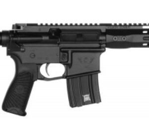 Protector Pistol 300HAM'R 11.3" Blk 30Rd