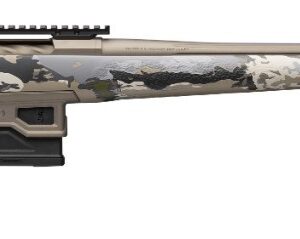 BRN XB2 HC MCM LR PLSM 6.5PRC