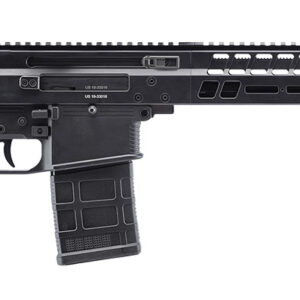 B&T Firearms 361663US APC PRO DMR 308 Win 25+1 18.90" Stainless Threaded Barrel, Black Picatinny Rail Aluminum Receiver, M-LOK Handguard, Black Synthetic Folding Stock, Black Polymer Grip