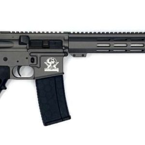 Great Lakes Firearms AR-15 223 Wylde (223/5.56) 16" Threaded Stainless 30RD Black/Tungsten Gray GL15223SS TNG