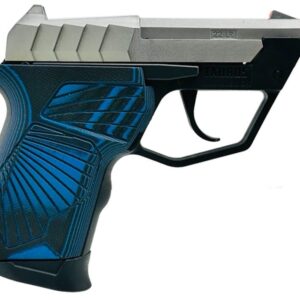 Taurus TUC 22 LR 2.5" 9RD Stainless/Blue 1-22TUC139-BG10