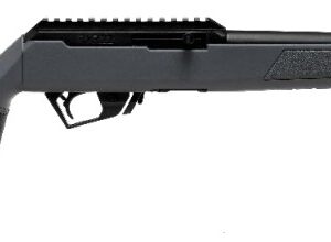 RXR22 .22 LR 16.5" TB Pic GMGrey/Syn 10rd