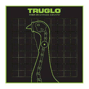 TRUGLO TRU-SEE TARGETS TKY 12X12 6PK