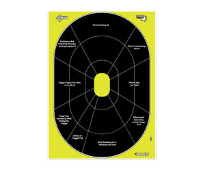 ALLEN EZ AIM 12"X18" HG TRAINER 8PK