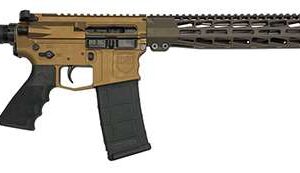 DARK STORM DS15 TYPH STD 556 RFL CH