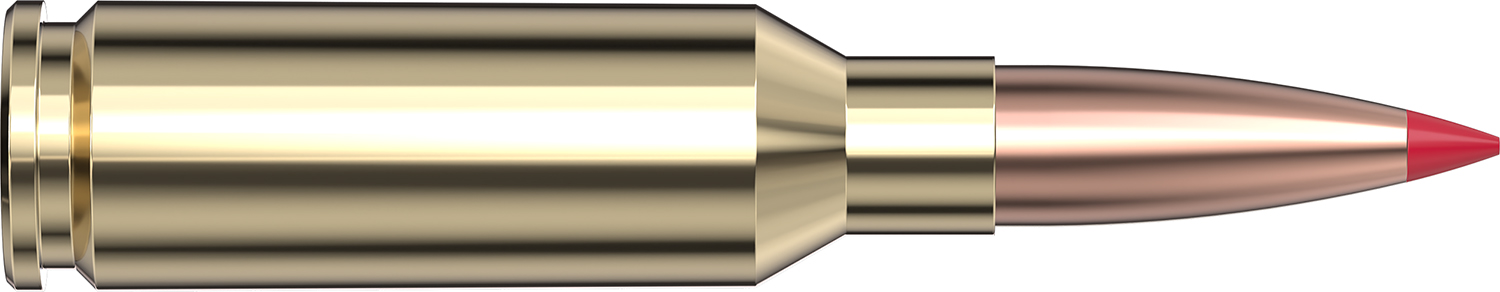 Hornady 90gr – 20rd